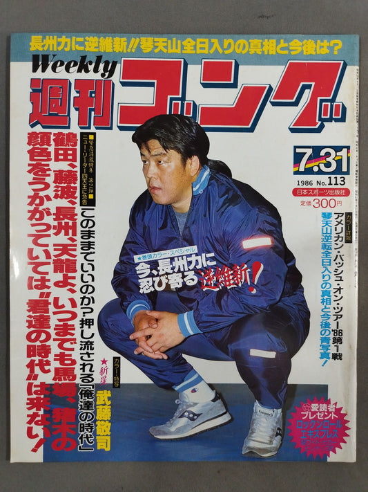 週刊ゴング113