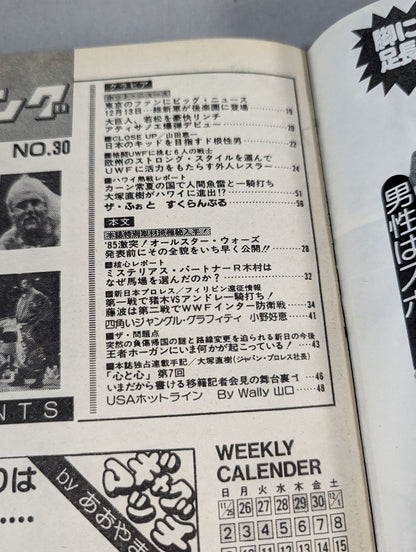 週刊ゴング30