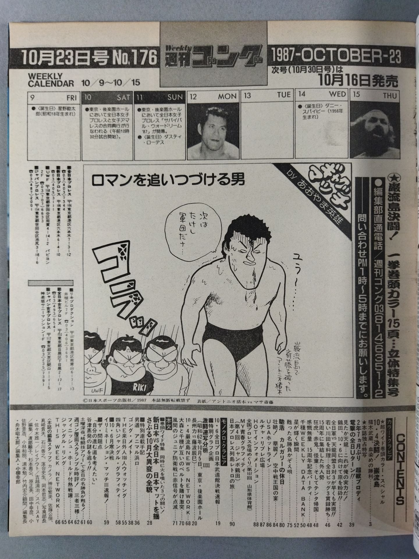 週刊ゴング176 – 闘道館