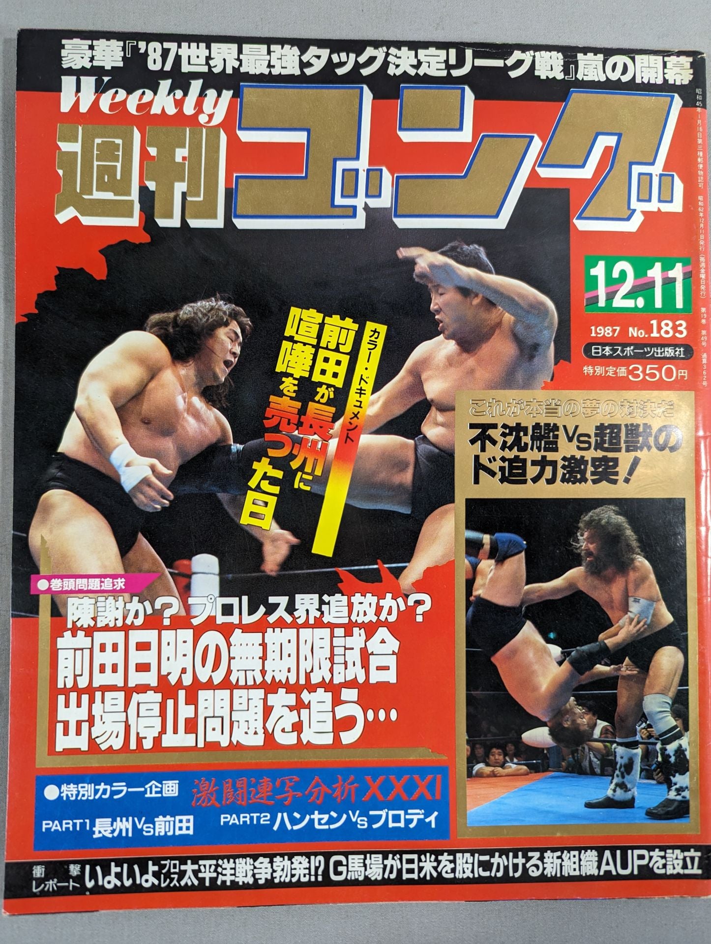 週刊ゴング183 – 闘道館