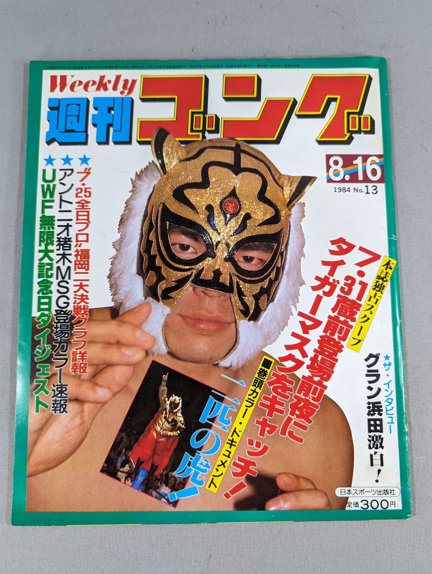 週刊ゴング13 – 闘道館