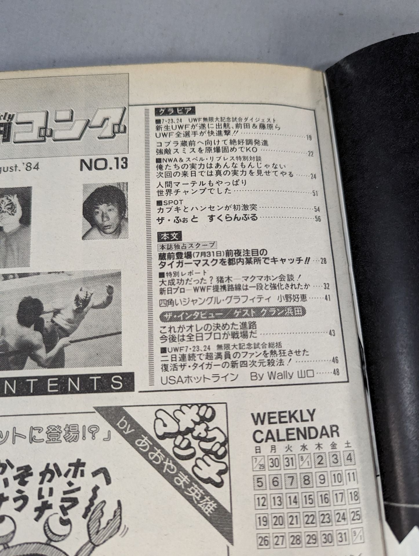 週刊ゴング13 – 闘道館