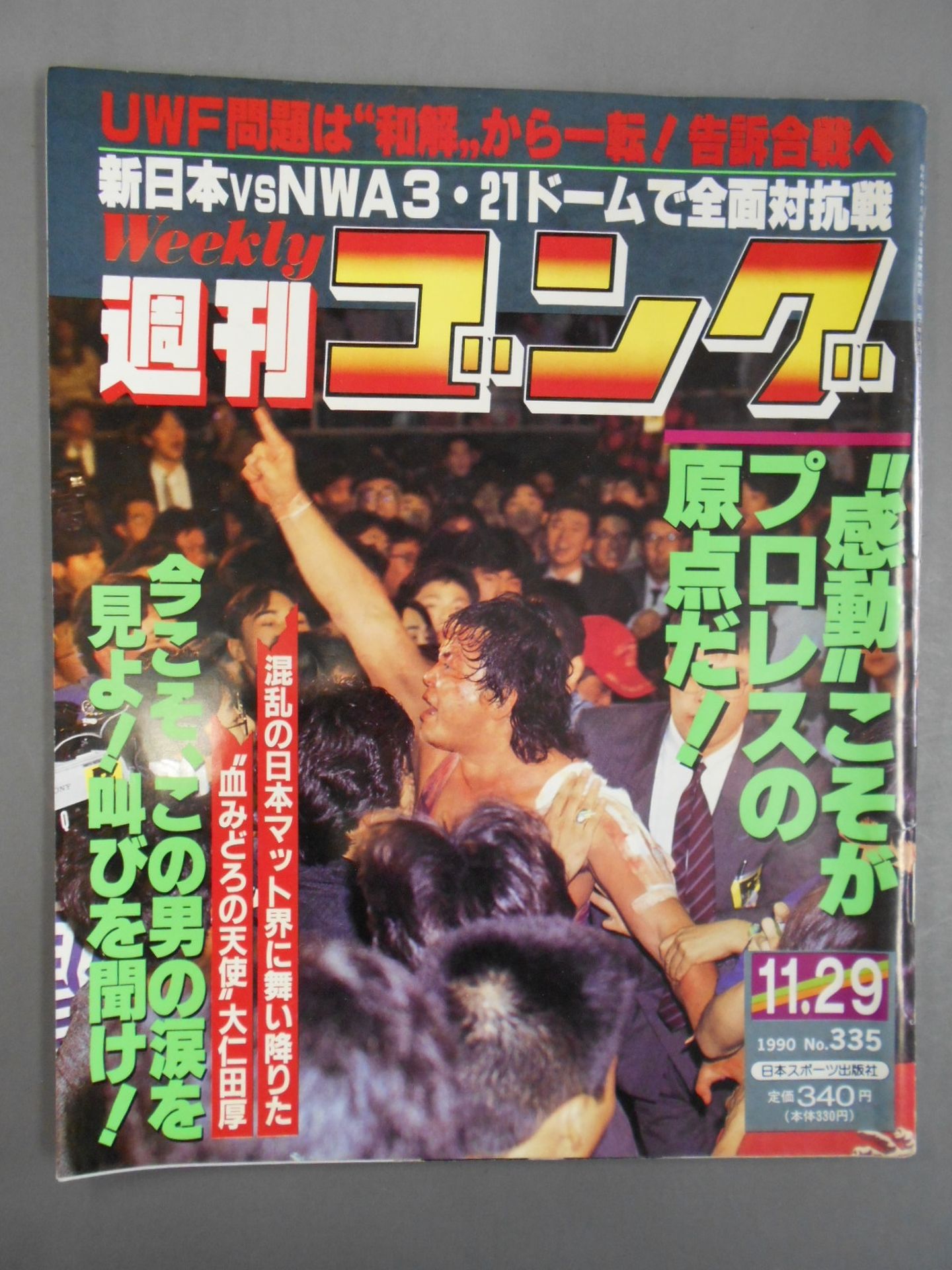 週刊ゴング335 – 闘道館