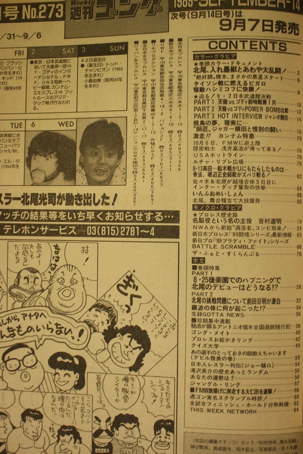 週刊ゴング273