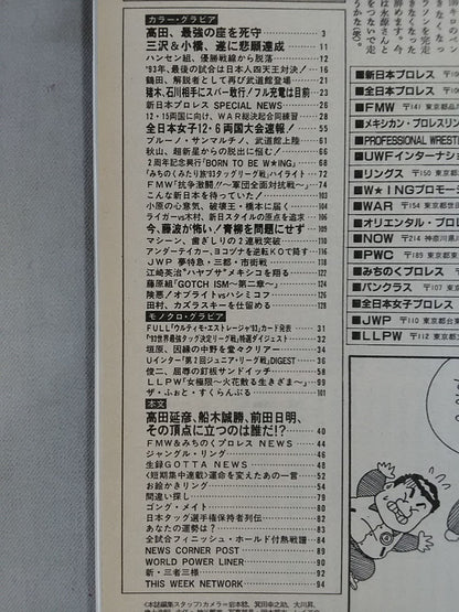 週刊ゴング493