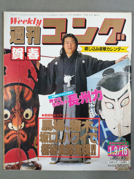 週刊ゴング85