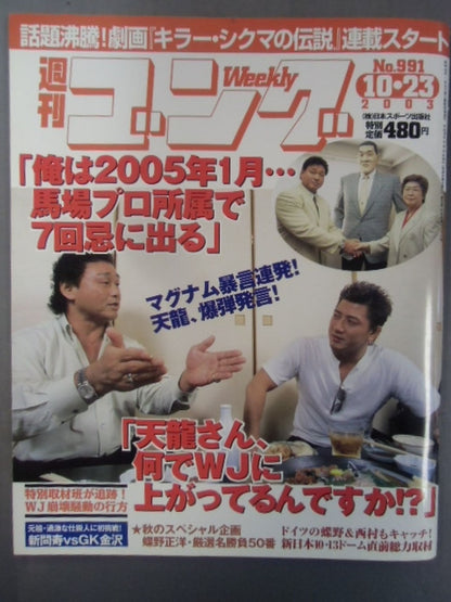 週刊ゴング991