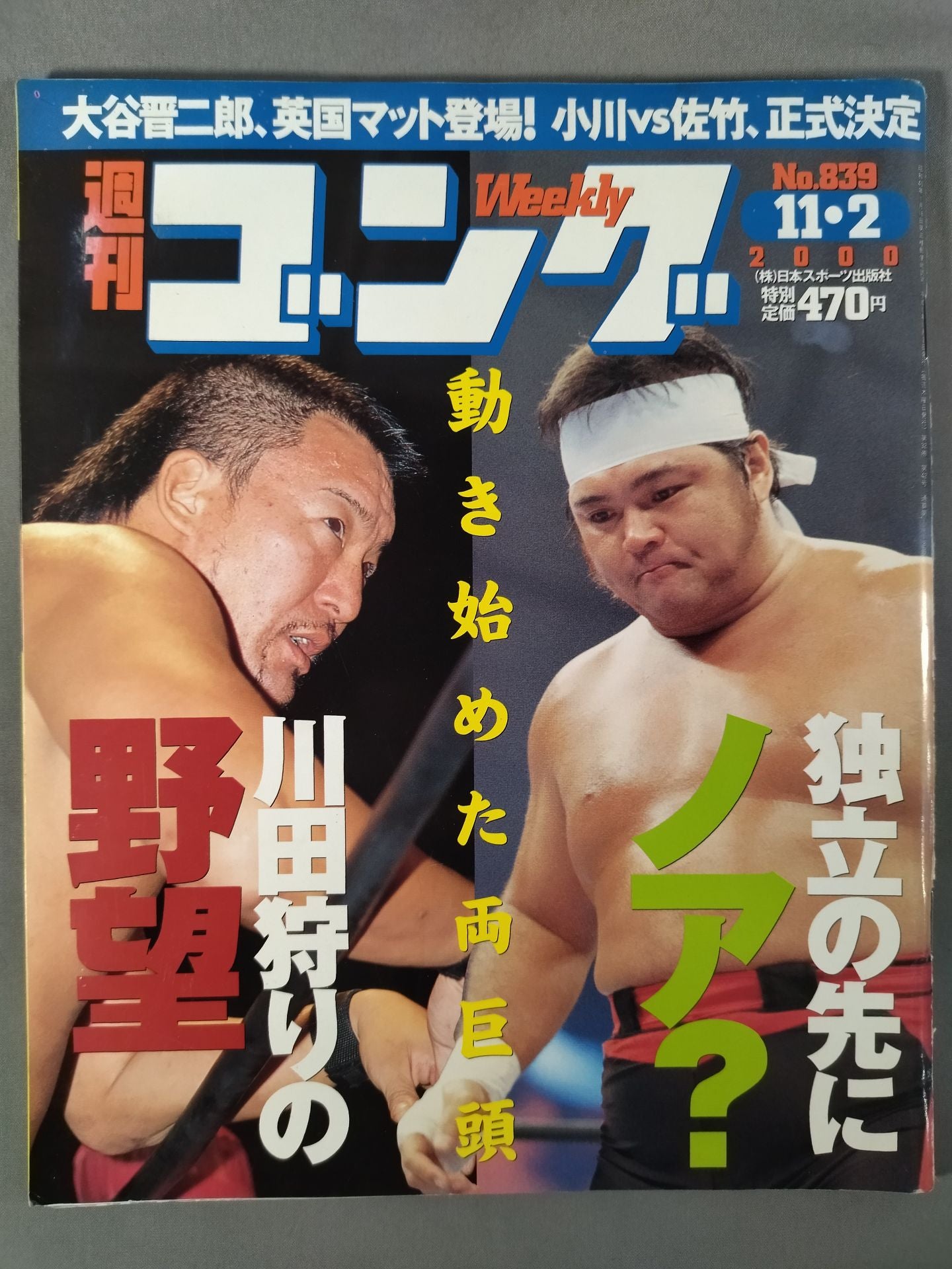 週刊ゴング839 – 闘道館