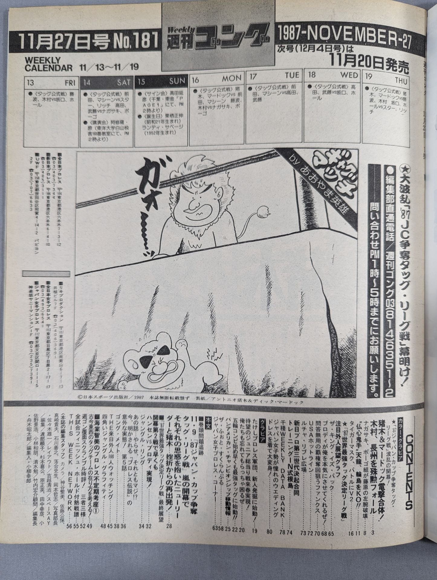 週刊ゴング181 – 闘道館