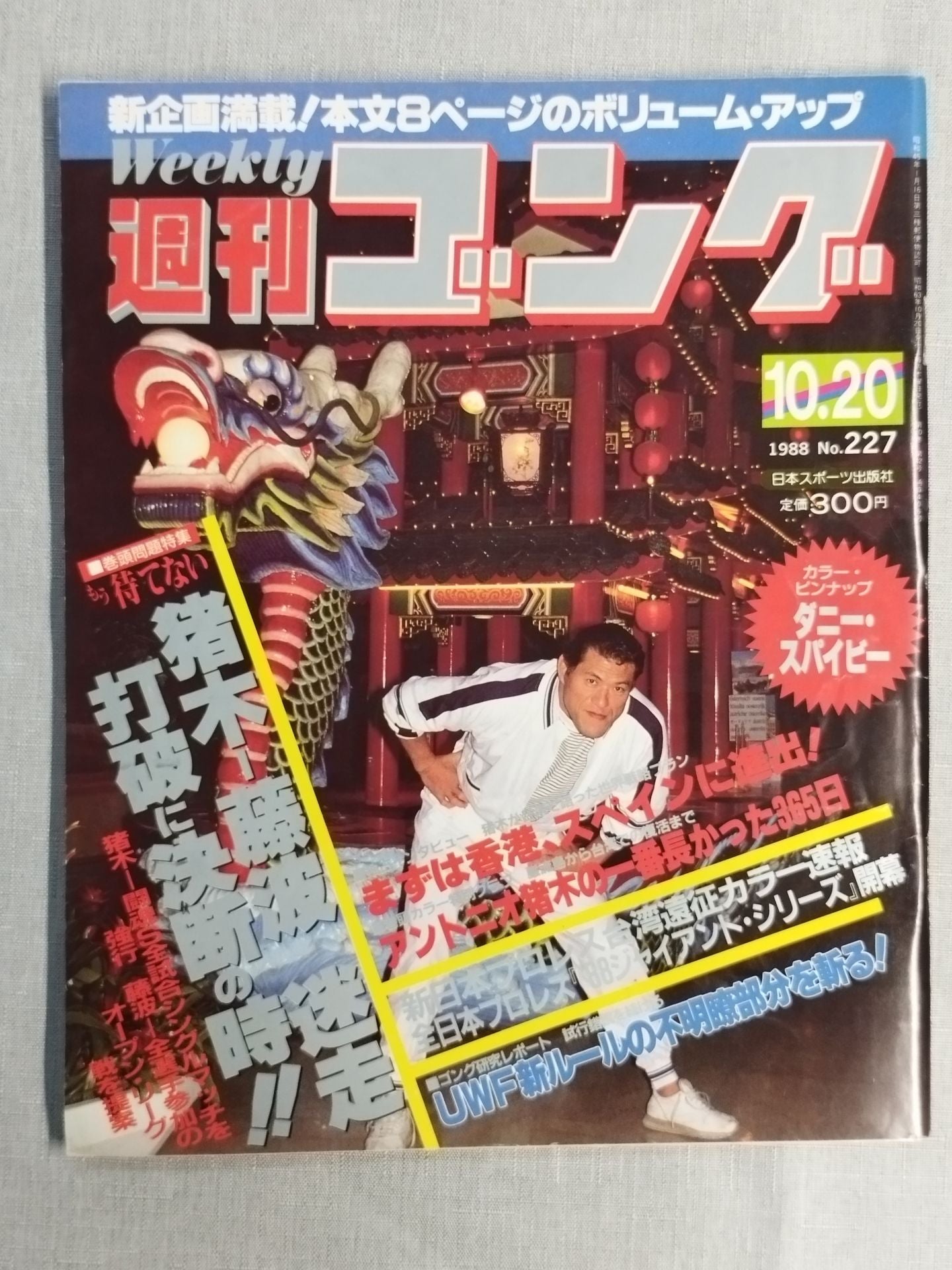 週刊ゴング227
