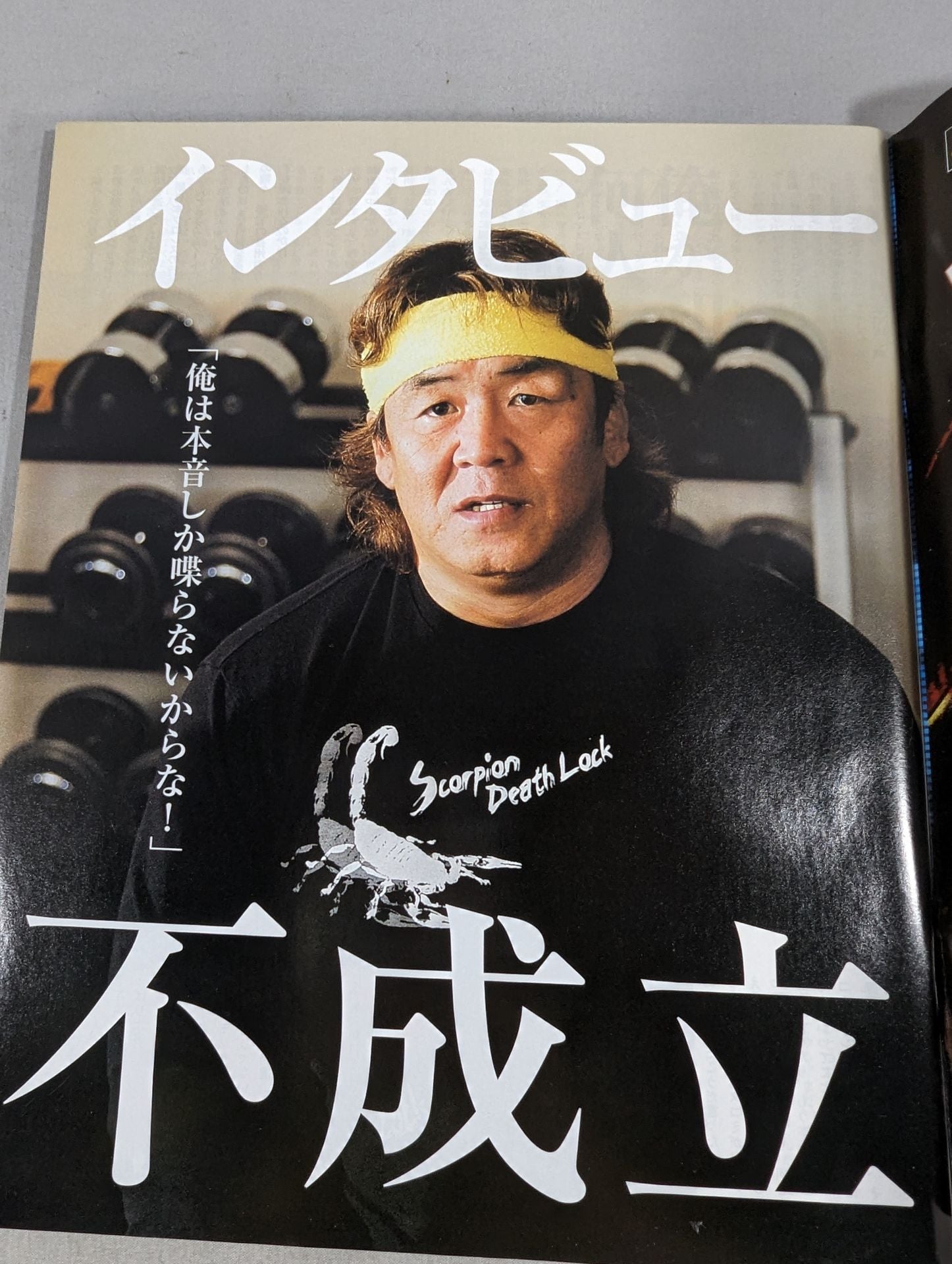 週刊ゴング1100 – 闘道館
