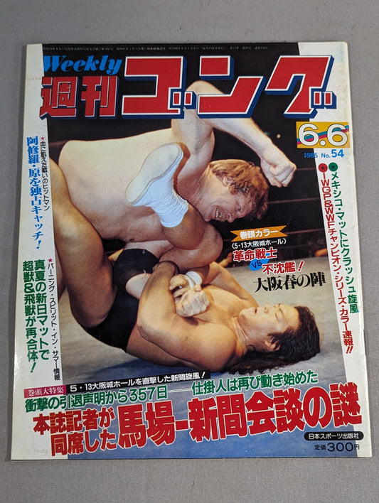 週刊ゴング54