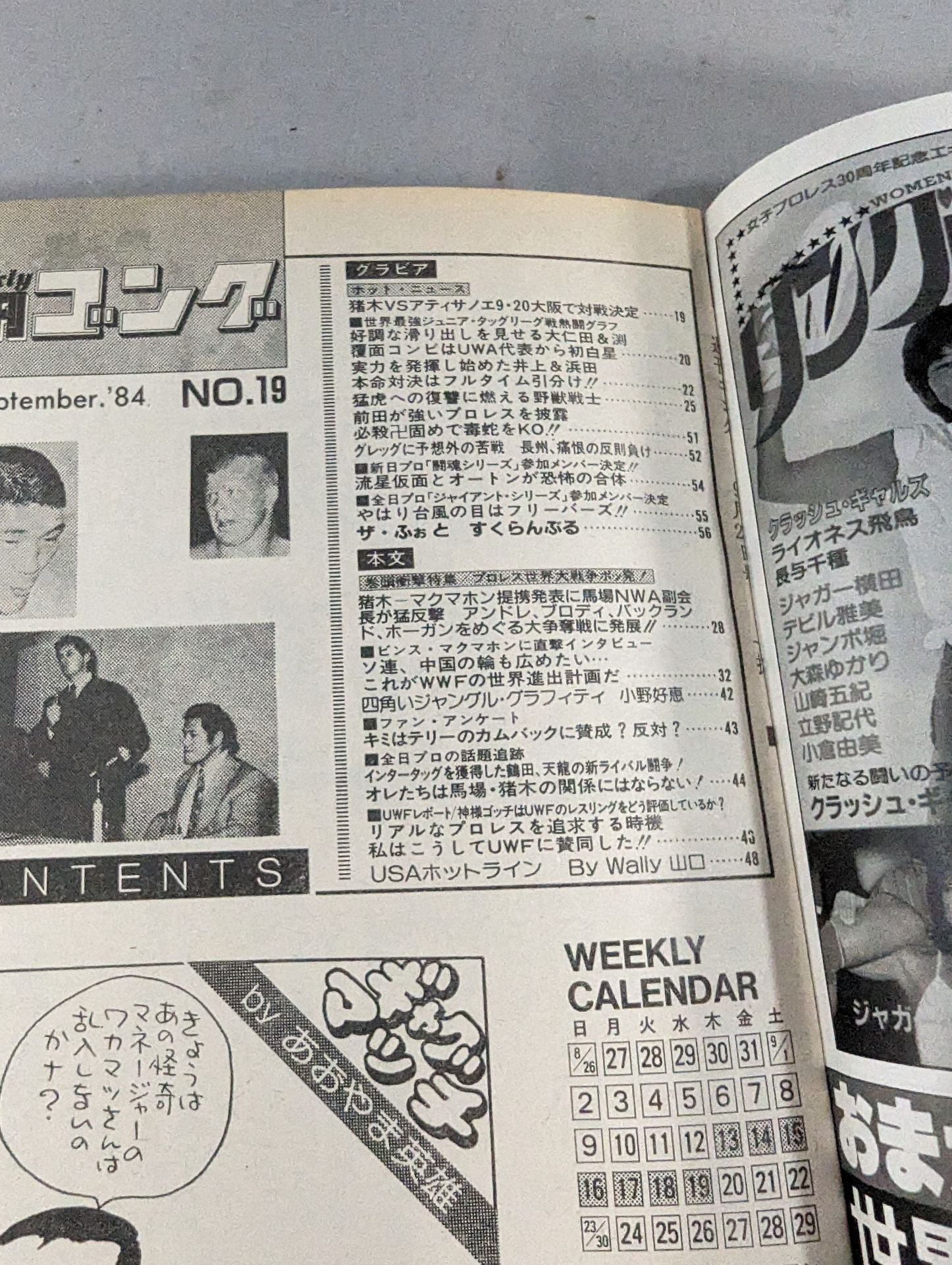 週刊誌まとめ売り 週刊ゴング19 – 闘道館