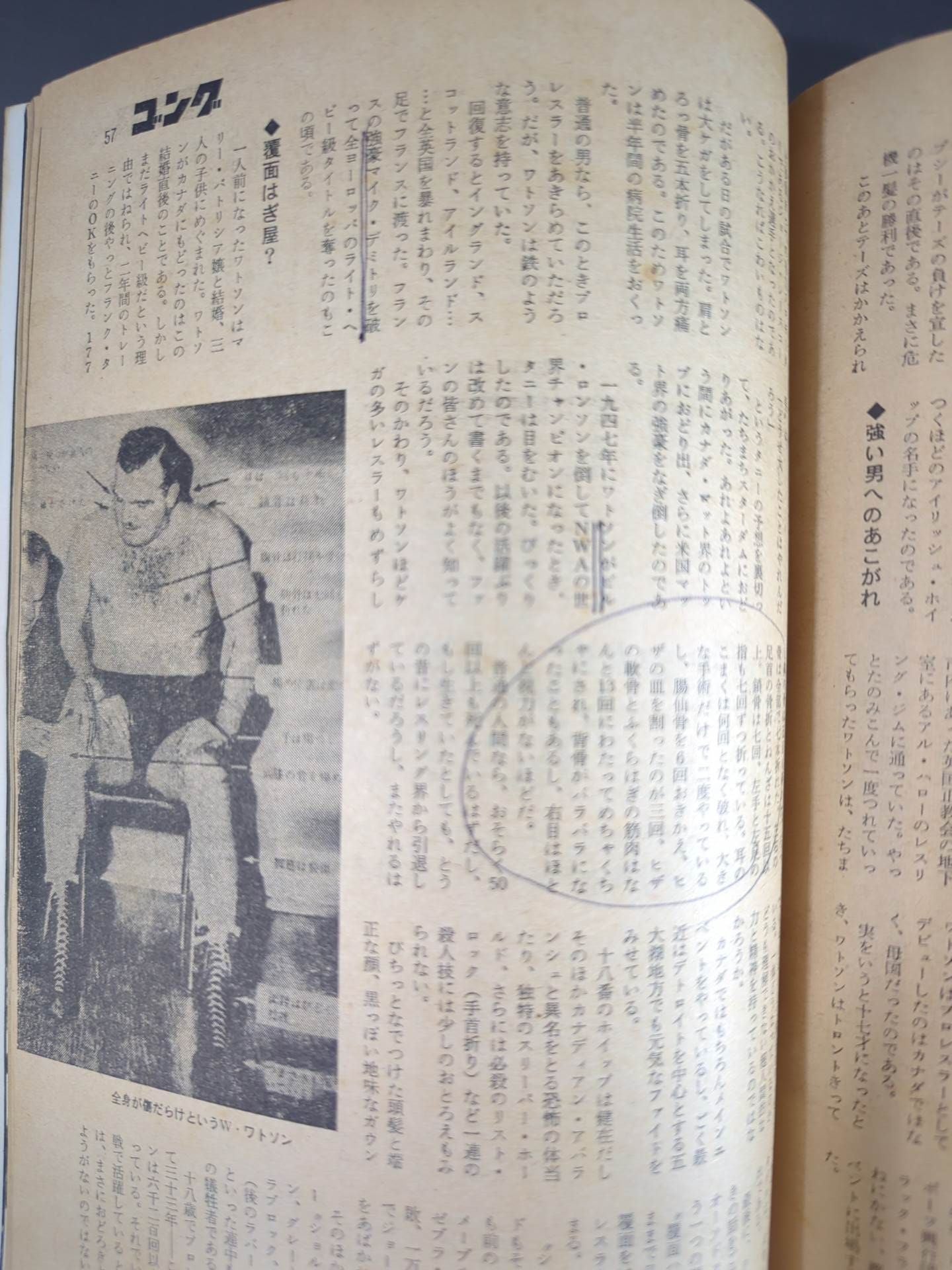 別冊ゴングVol.2 No.3