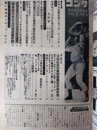 Bessatsu Gong Vol.2 No.6