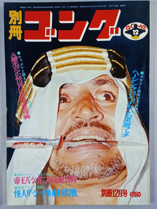 別冊ゴングVol.6 No.12