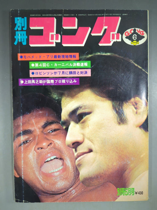 別冊ゴングVol.8 No.6
