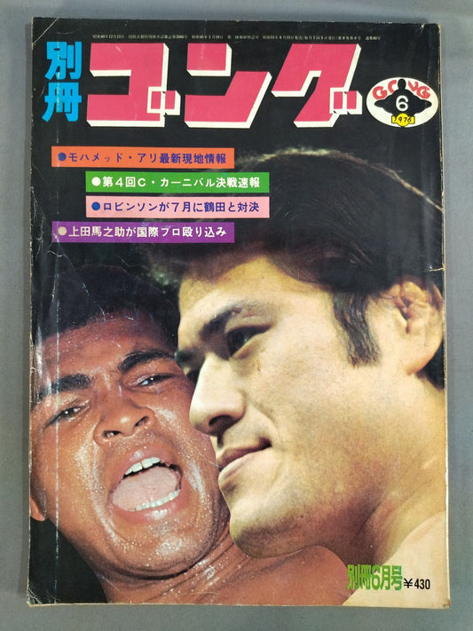 別冊ゴングVol.8 No.6