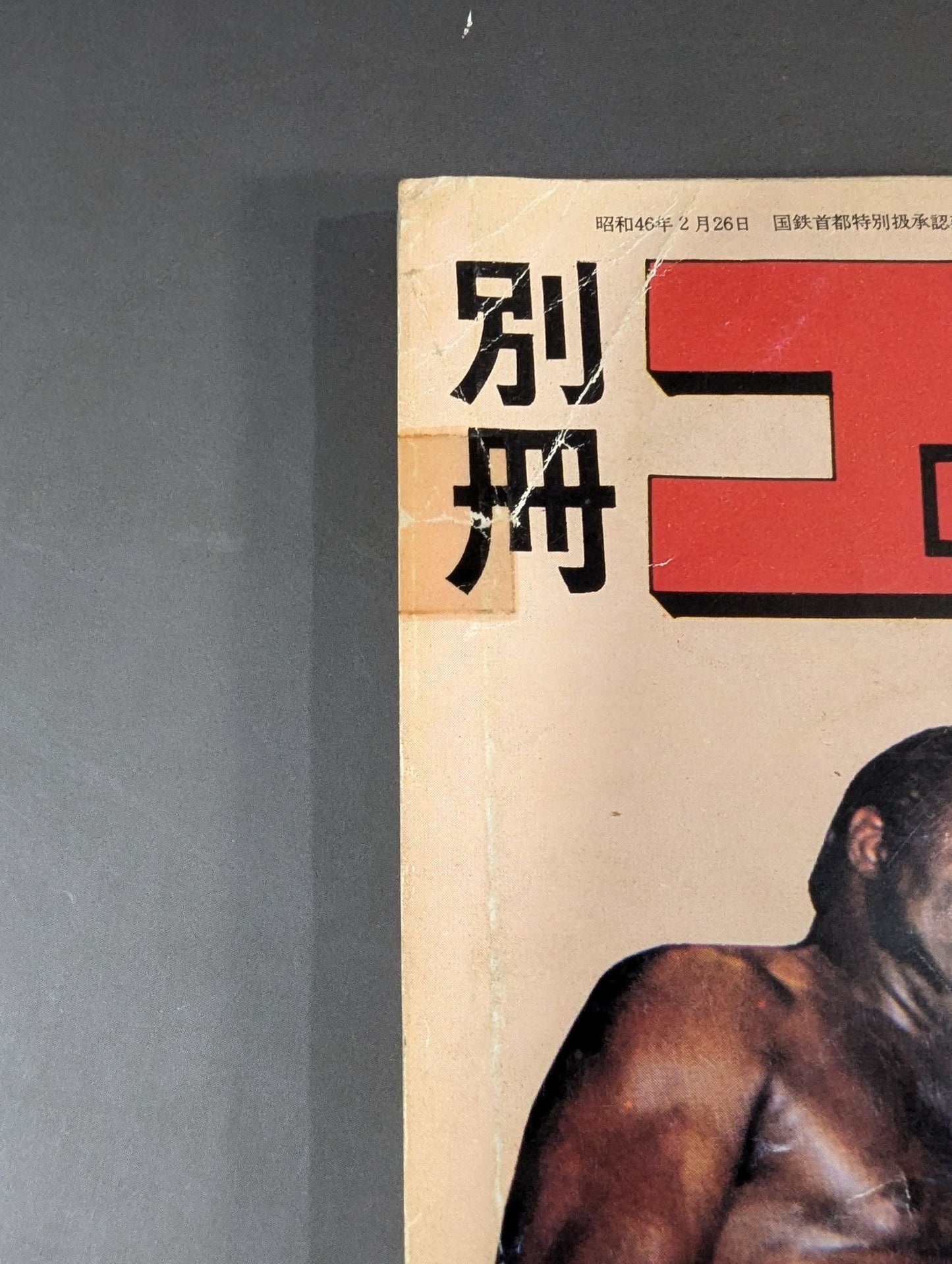 別冊ゴングVol.4 No.2