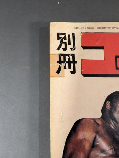 別冊ゴングVol.4 No.2