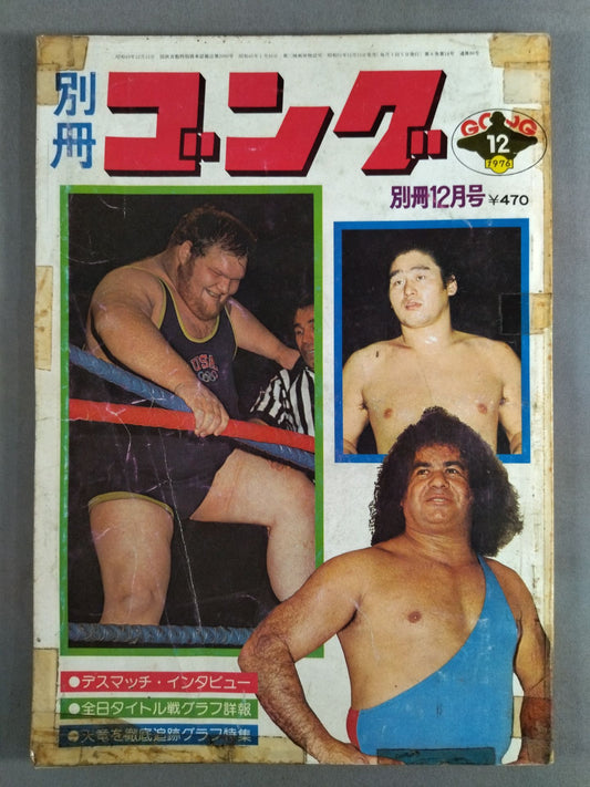 別冊ゴングVol.8 No.14