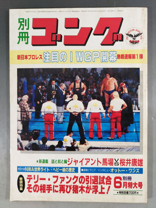 別冊ゴングVol.15 No.6