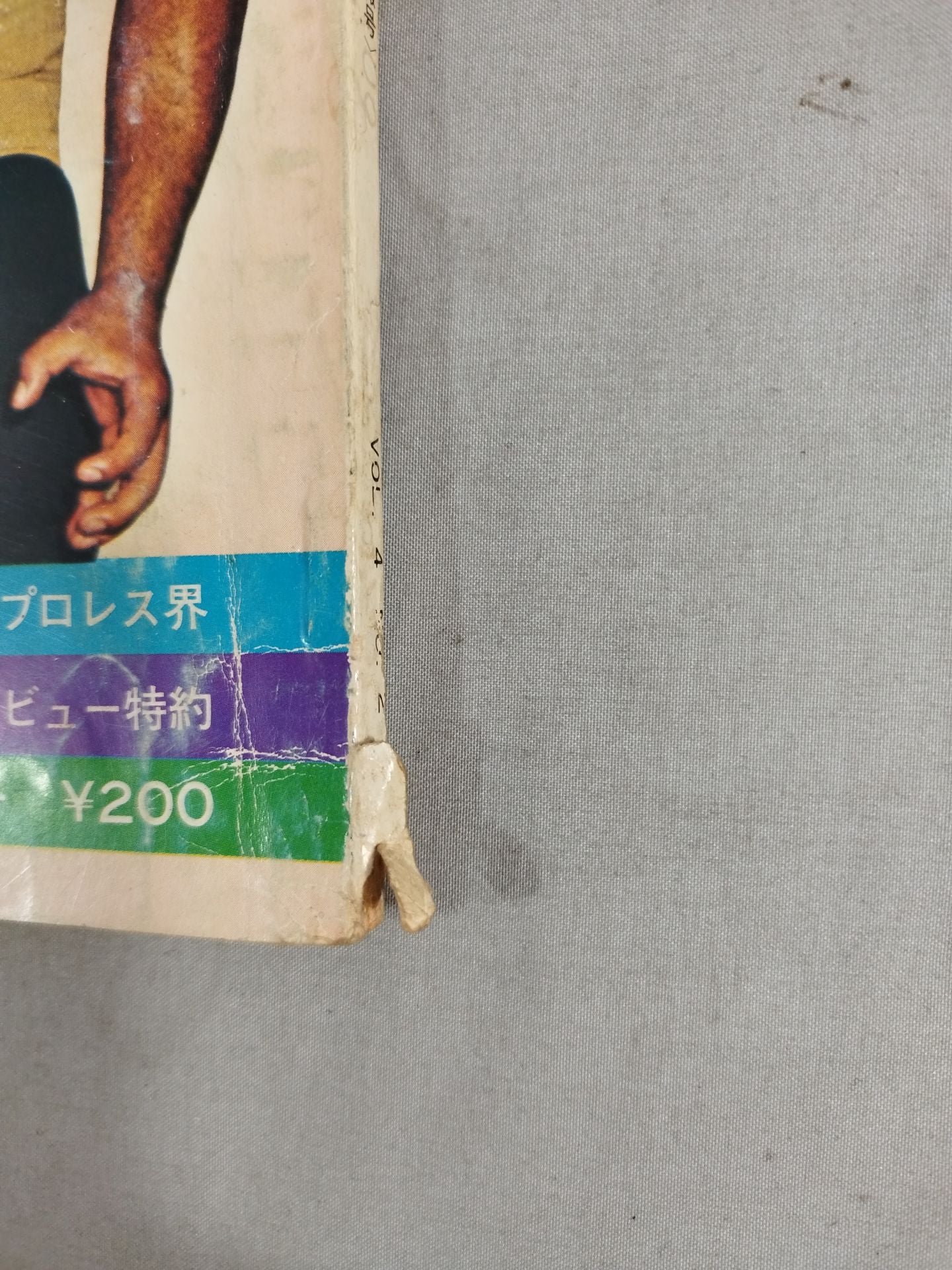 Bessatsu Gong Vol.4 No.2