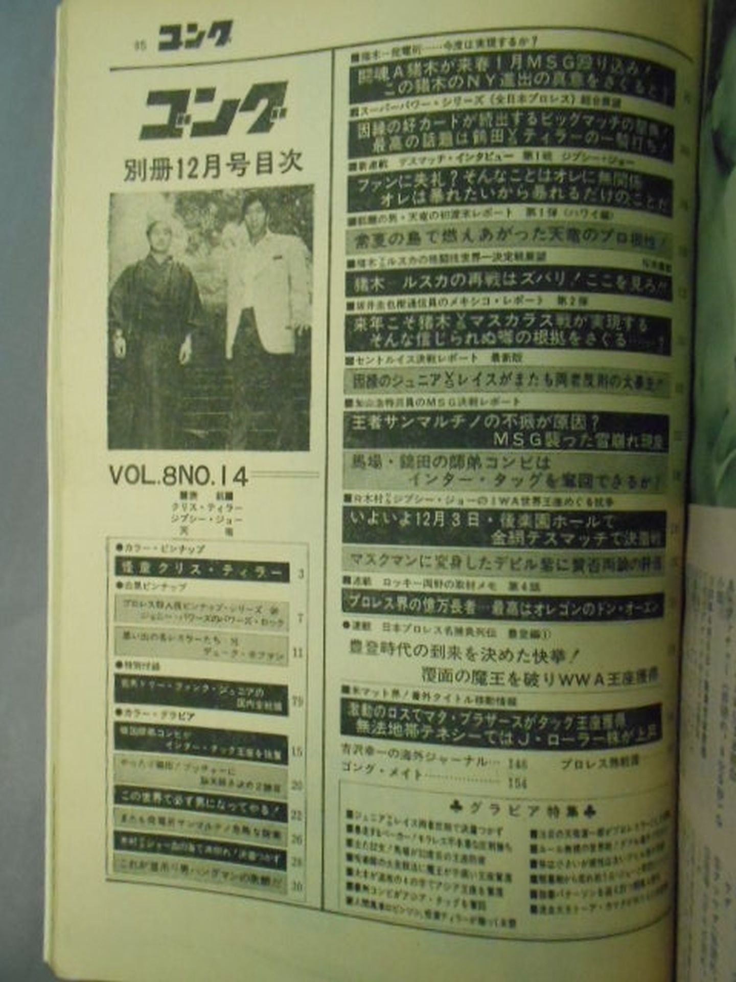 Bessatsu Gong Vol.8 No.14