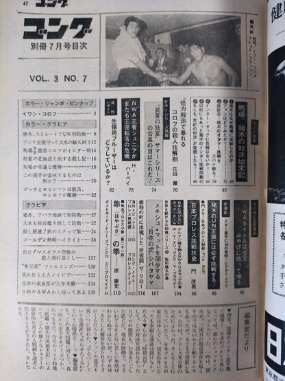 別冊ゴングVol.3 No.7
