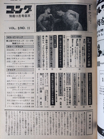 別冊ゴングVol.3 No.11