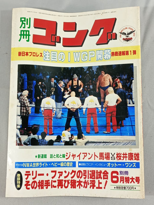 別冊ゴングVol.15 No.6
