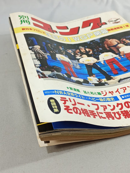 別冊ゴングVol.15 No.6