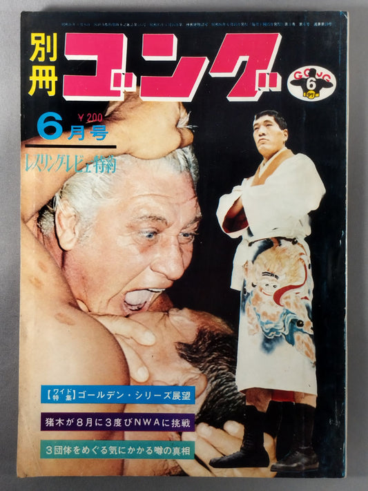 別冊ゴングVol.3 No.6