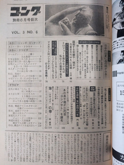 別冊ゴングVol.3 No.6