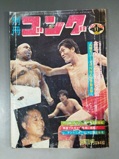 別冊ゴングVol.7 No.11