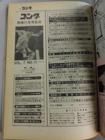 別冊ゴングVol.7 No.11
