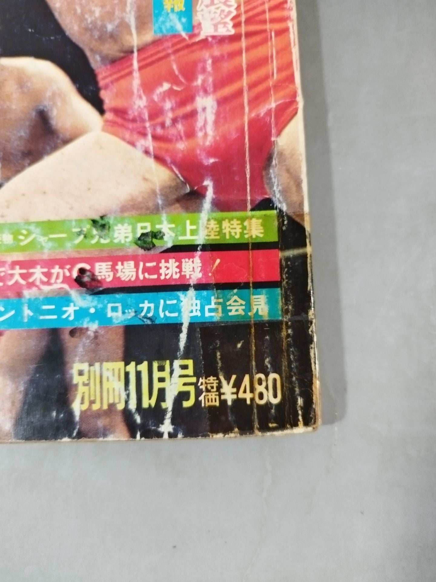 別冊ゴングVol.7 No.11