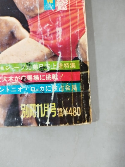 別冊ゴングVol.7 No.11