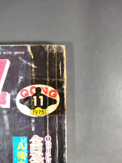 別冊ゴングVol.7 No.11