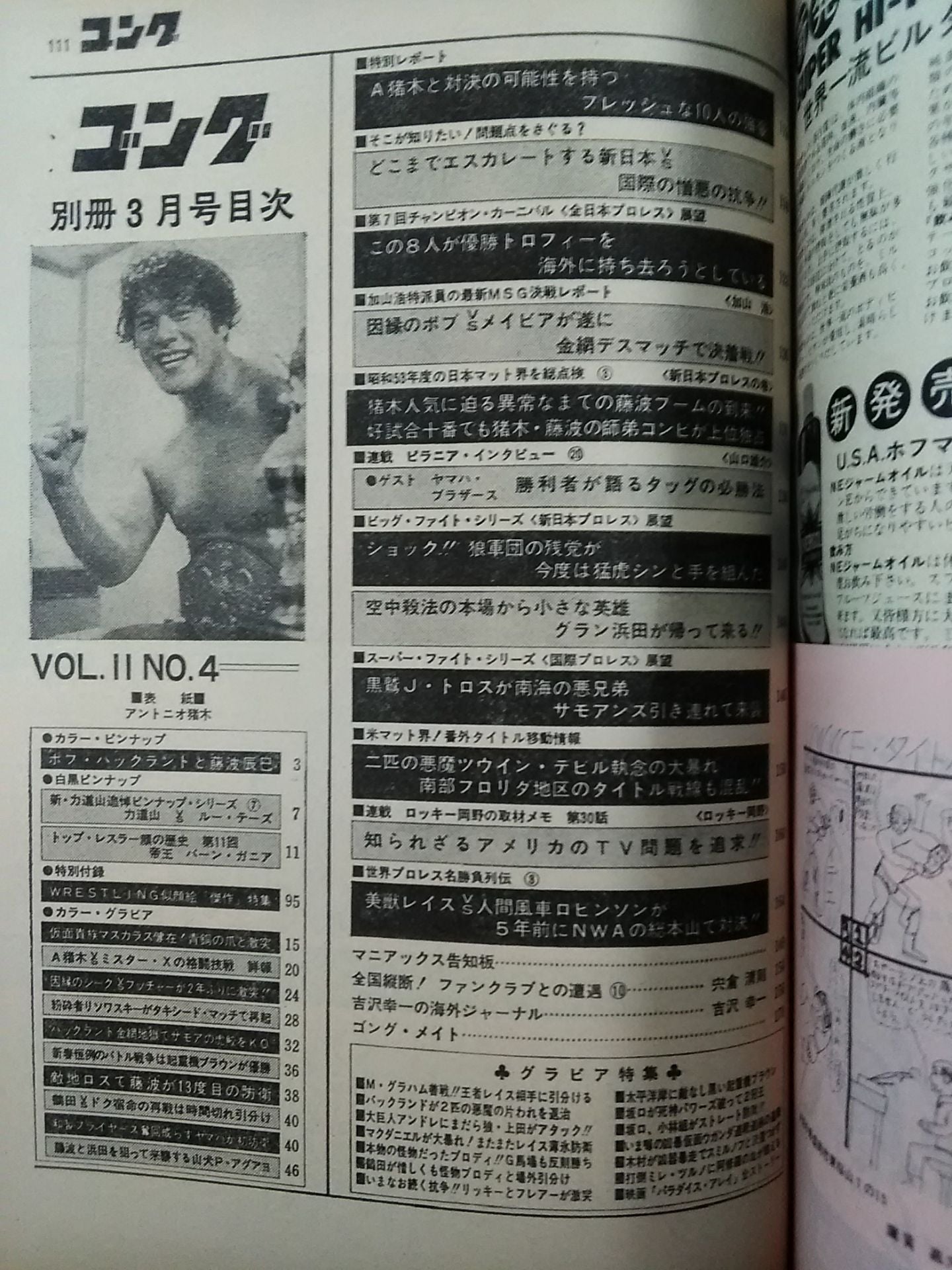 別冊ゴングVol.11 No.4