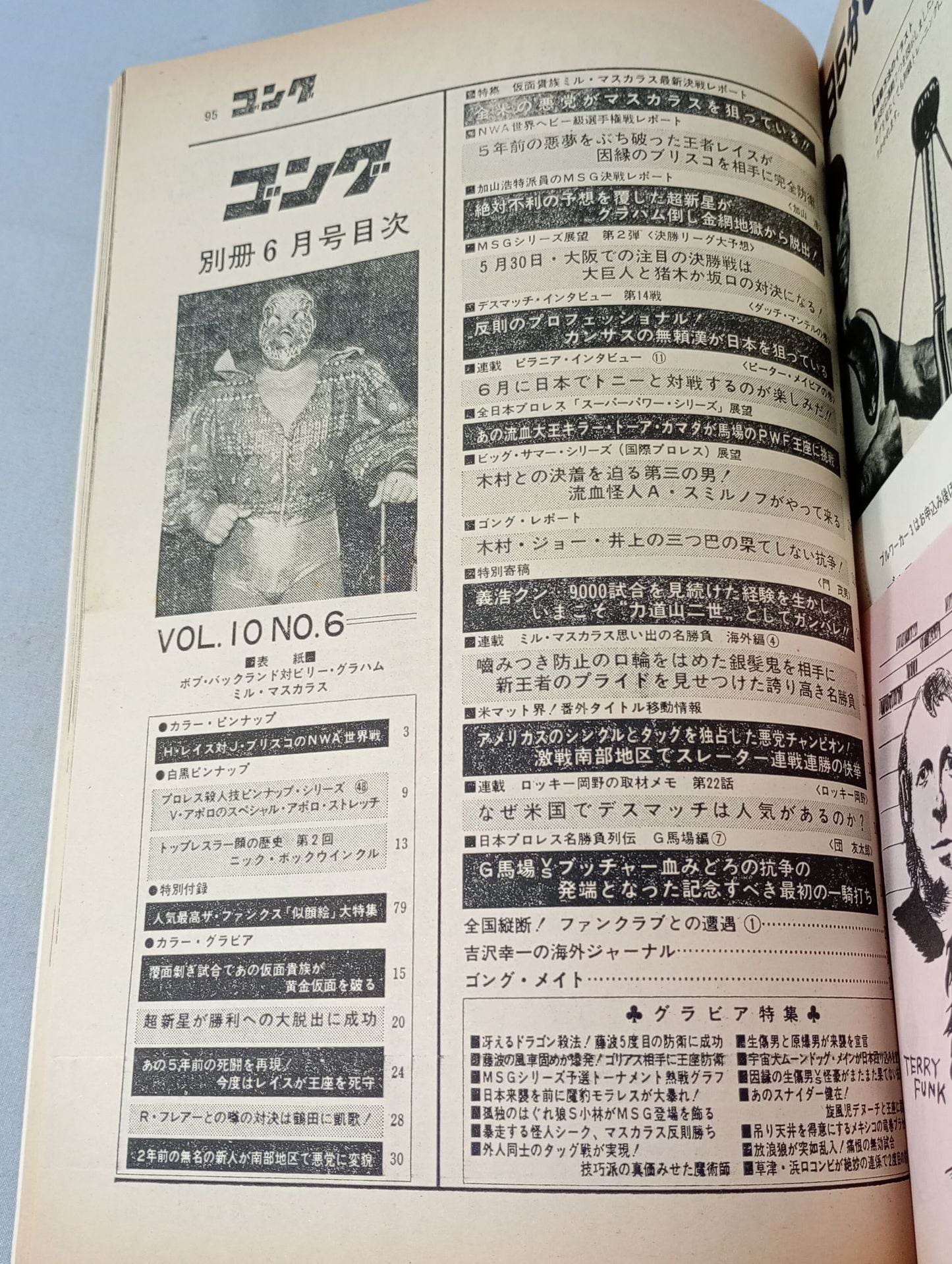 別冊ゴングVol.10 No.6