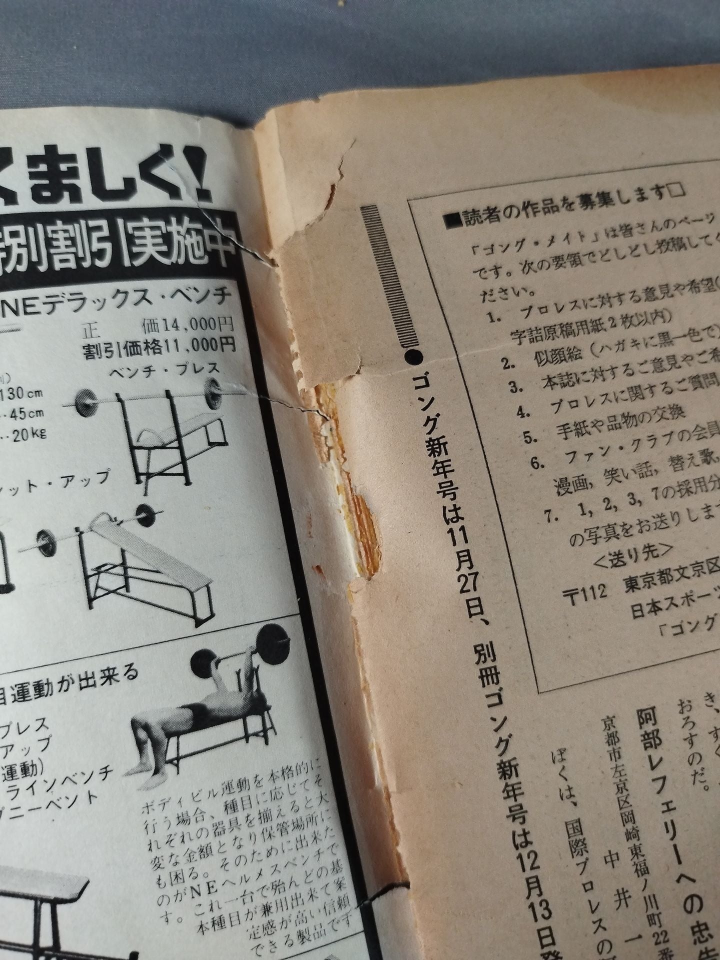 別冊ゴングVol.5 No.13