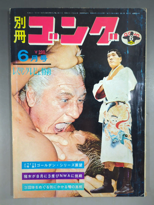 別冊ゴングVol.3 No.6