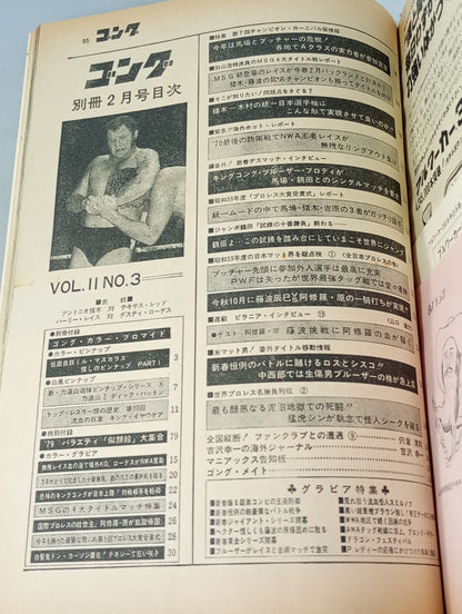 別冊ゴングVol.11 No.3