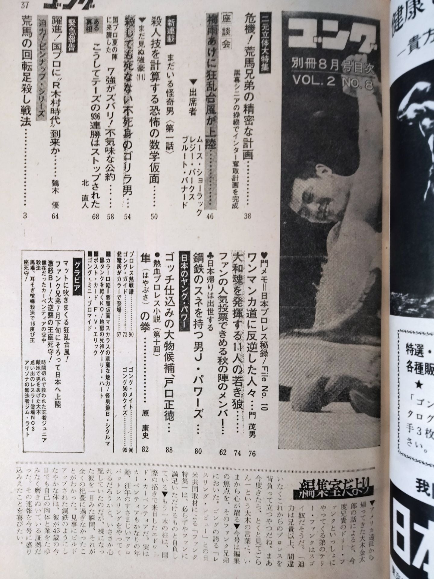 別冊ゴングVol.2 No.8