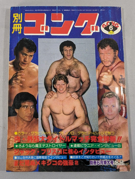 別冊ゴングVol.11 No.7