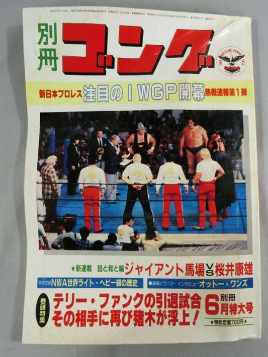 別冊ゴングVol.15 No.6