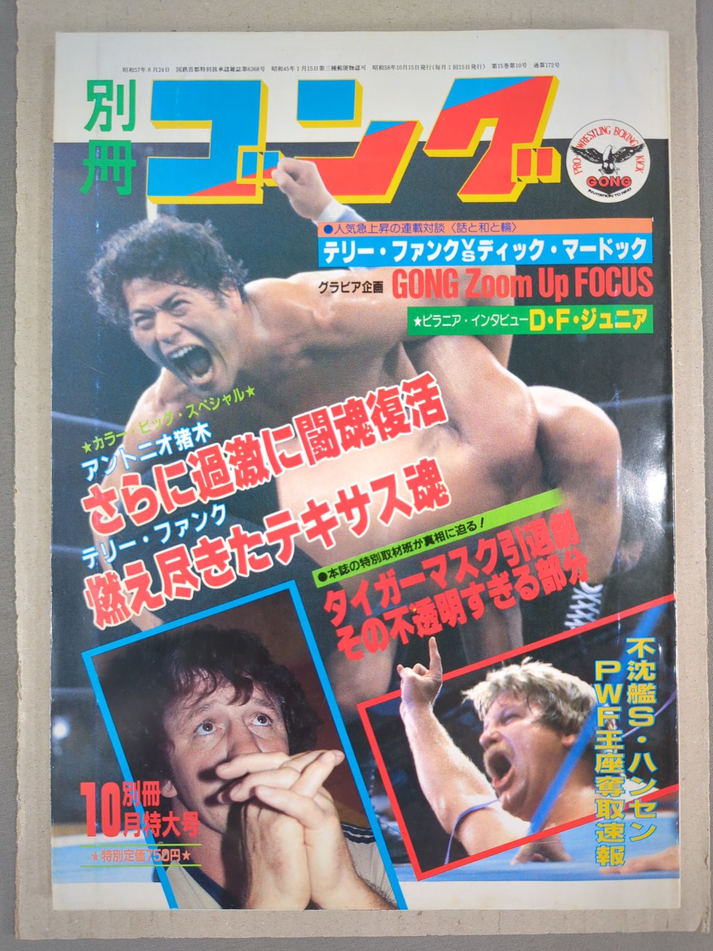 別冊ゴングVol.15 No.10