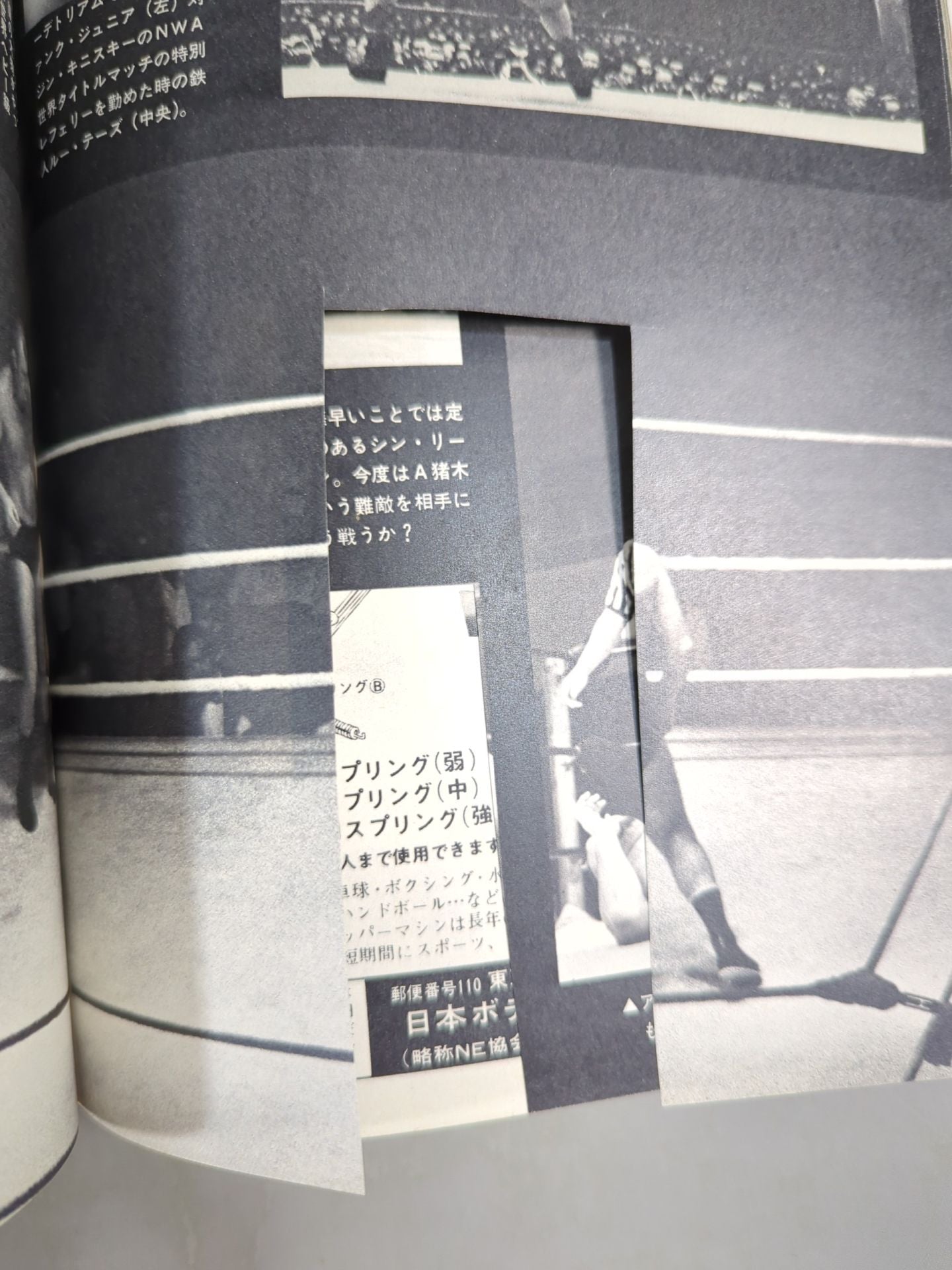 別冊ゴングVol.4 No.10