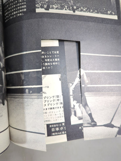 別冊ゴングVol.4 No.10